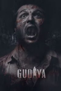 Download Gudiya (2023) Punjabi CHTV WEB-DL  Full Movie 480p 720p 1080p