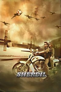 Download Sherdil (2019) Pakistani Full Movie 480p 720p 1080p